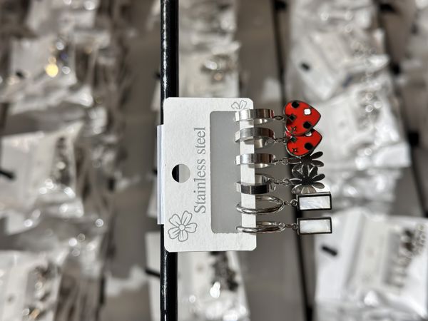 6’lı kombin çelik küpe