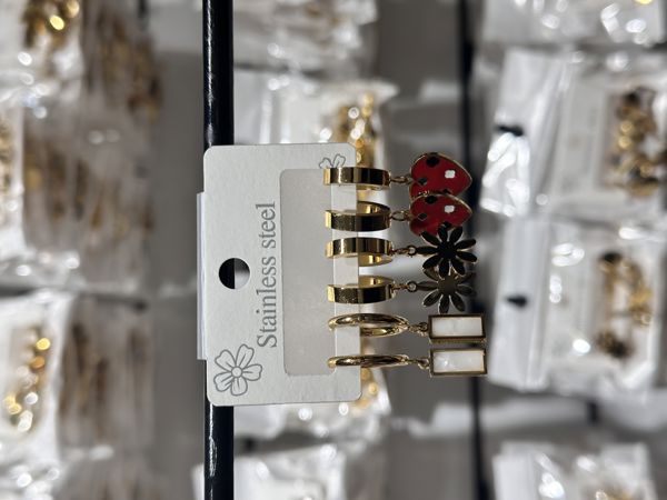 6’lı kombin çelik küpe